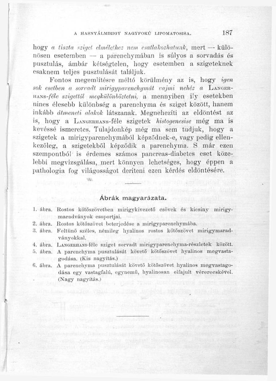 Fontos megemlítésre méltó körülmény az is, hogy igen sok esetben a sorvadt mirigyparenchymát vajmi nehéz a LANGER- YiM^B-féle szigettől megkülönböztetni, a mennyiben ily esetekben nincs élesebb