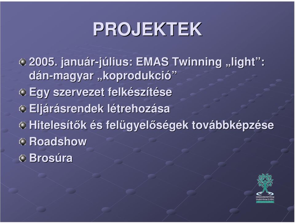 dán-magyar koprodukció Egy szervezet felkészítése