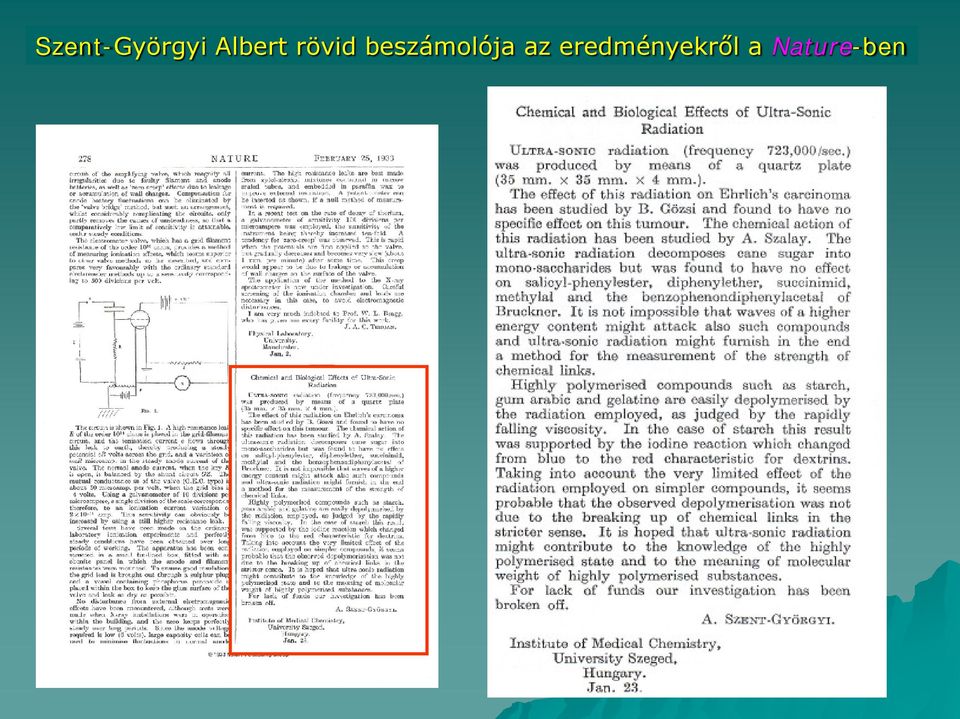 beszámolója az