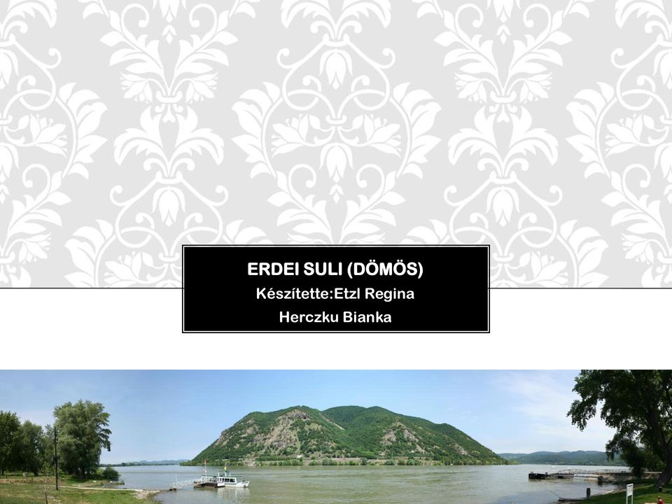 ERDEI SULI (DÖMÖS) Készítette:Etzl Regina Herczku Bianka - PDF Free Download