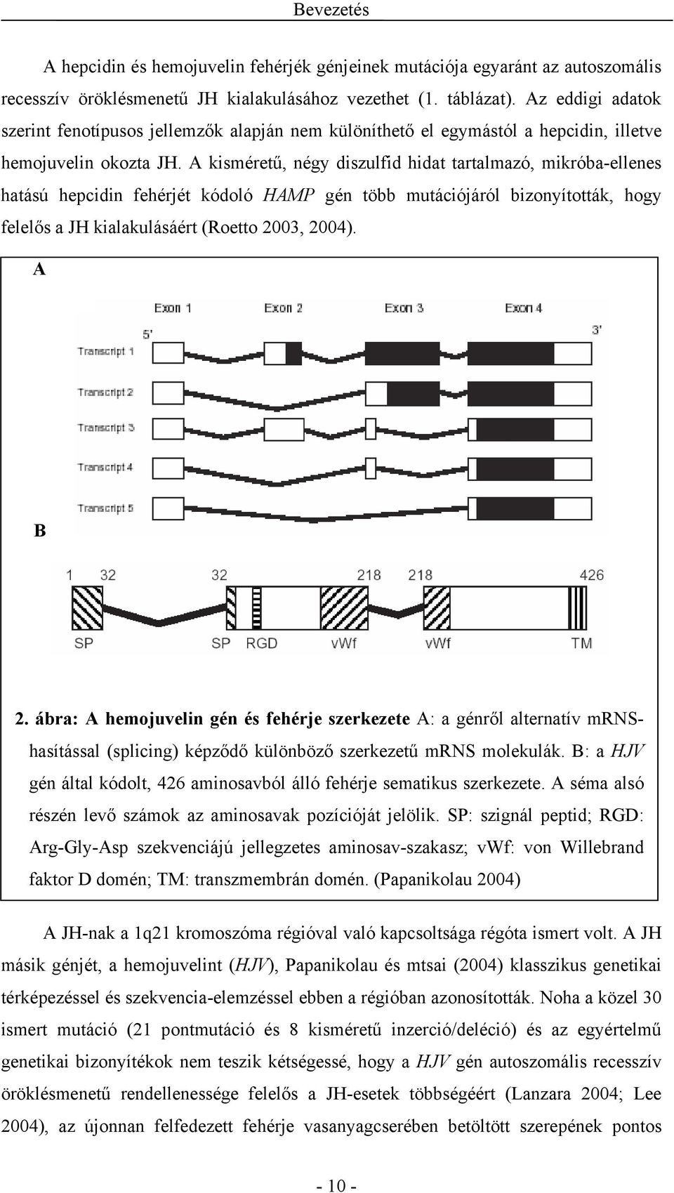 A kisméretű, négy diszulfid hidat tartalmazó, mikróba-ellenes hatású hepcidin fehérjét kódoló HAMP gén több mutációjáról bizonyították, hogy felelős a JH kialakulásáért (Roetto 2003, 2004). A B 2.