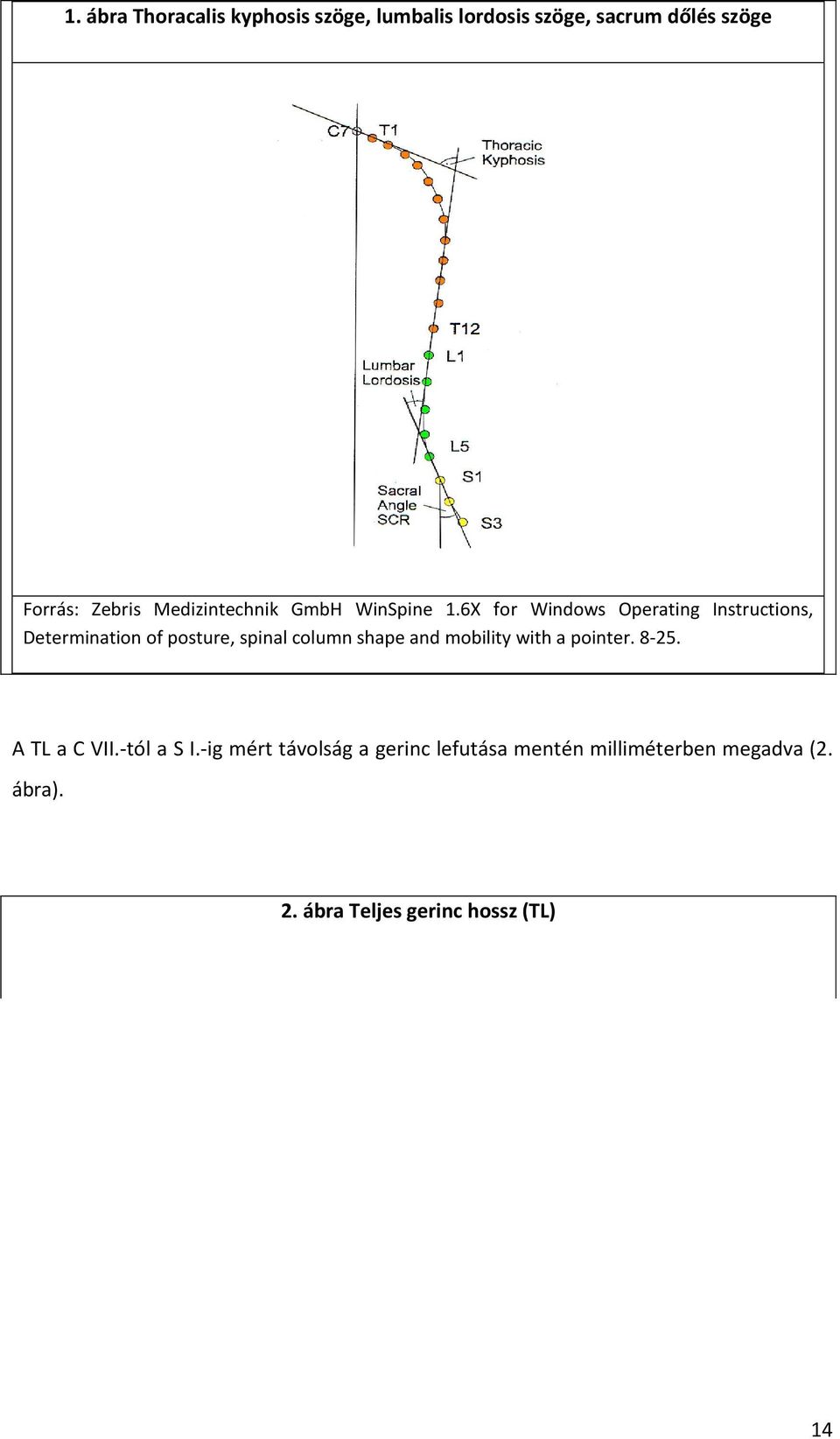 6X for Windows Operating Instructions, Determination of posture, spinal column shape and