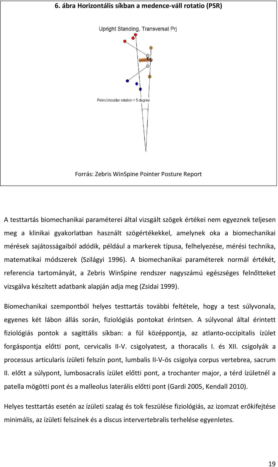 1996). A biomechanikai paraméterek normál értékét, referencia tartományát, a Zebris WinSpine rendszer nagyszámú egészséges felnőtteket vizsgálva készített adatbank alapján adja meg (Zsidai 1999).