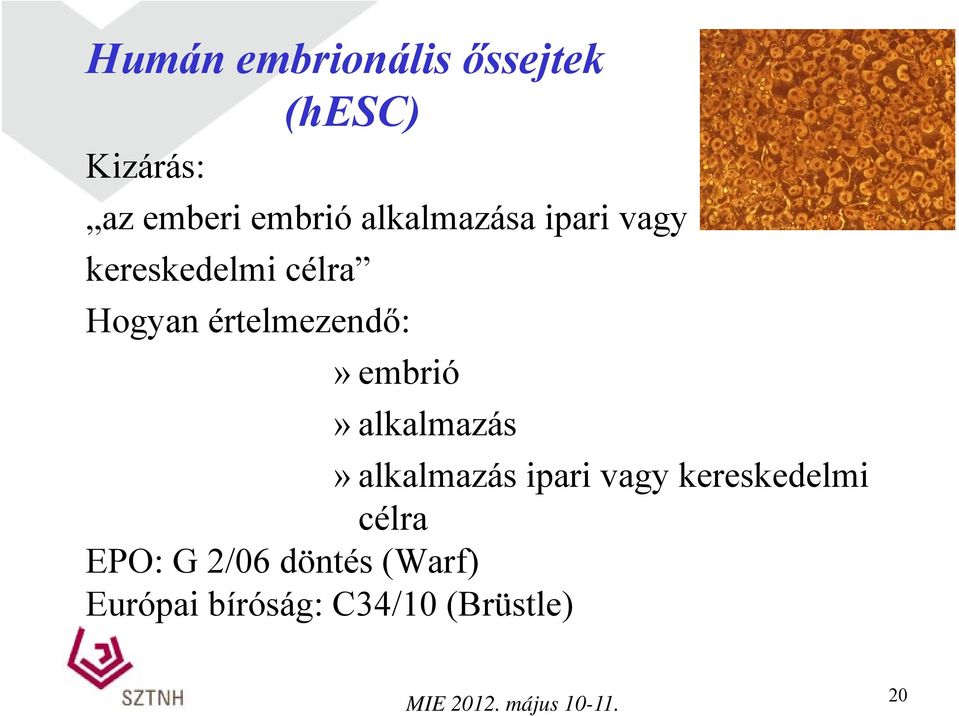 embrió» alkalmazás»alkalmazás lkl ipari ivagy kereskedelmi kdl