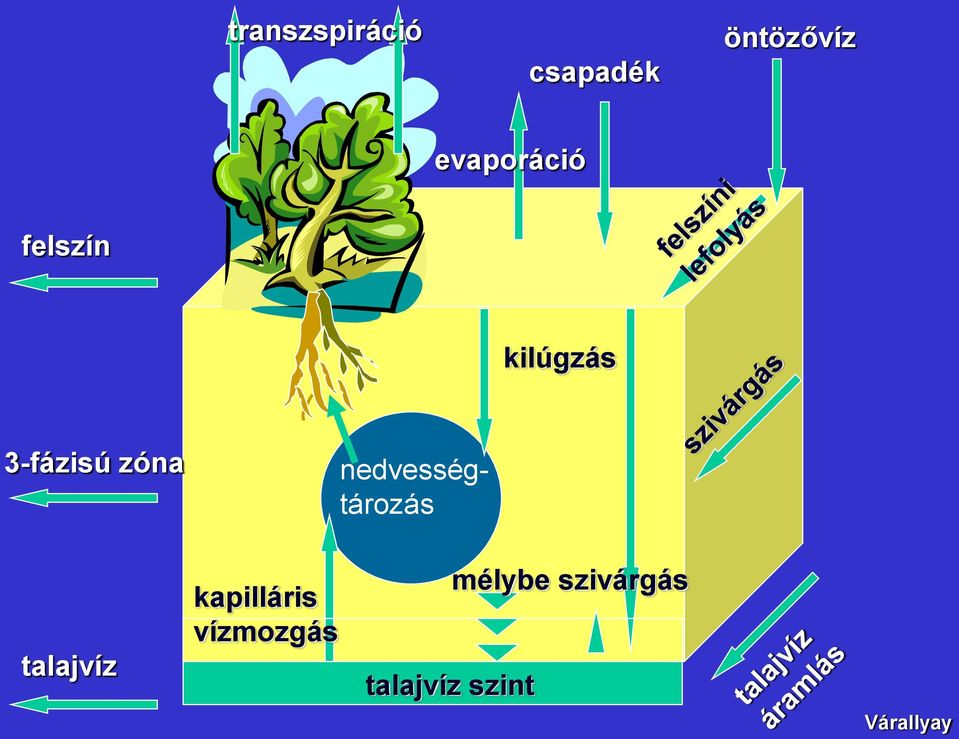 zóna nedvességtározás talajvíz