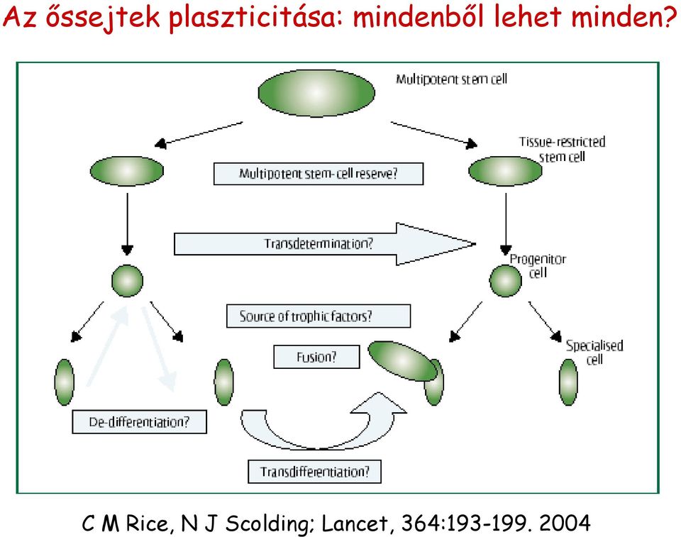 lehet minden?