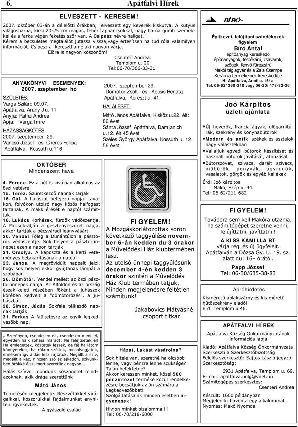 A kutyus világosbarna, kicsi 20-25 cm magas, fehér tappancsokkal, nagy barna gomb szemekkel és a farka végén feketés szõr van. A Csipesz névre hallgat.
