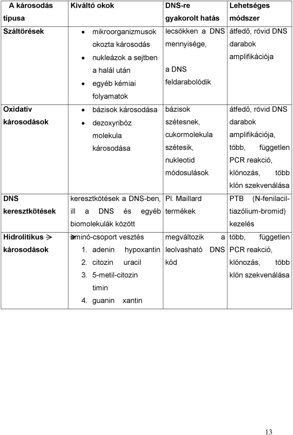 5-metil-citozin timin 4. guanin xantin DNS-re gyakorolt hatás lecsökken a DNS mennyisége, a DNS feldarabolódik bázisok szétesnek, cukormolekula szétesik, nukleotid módosulások Pl.