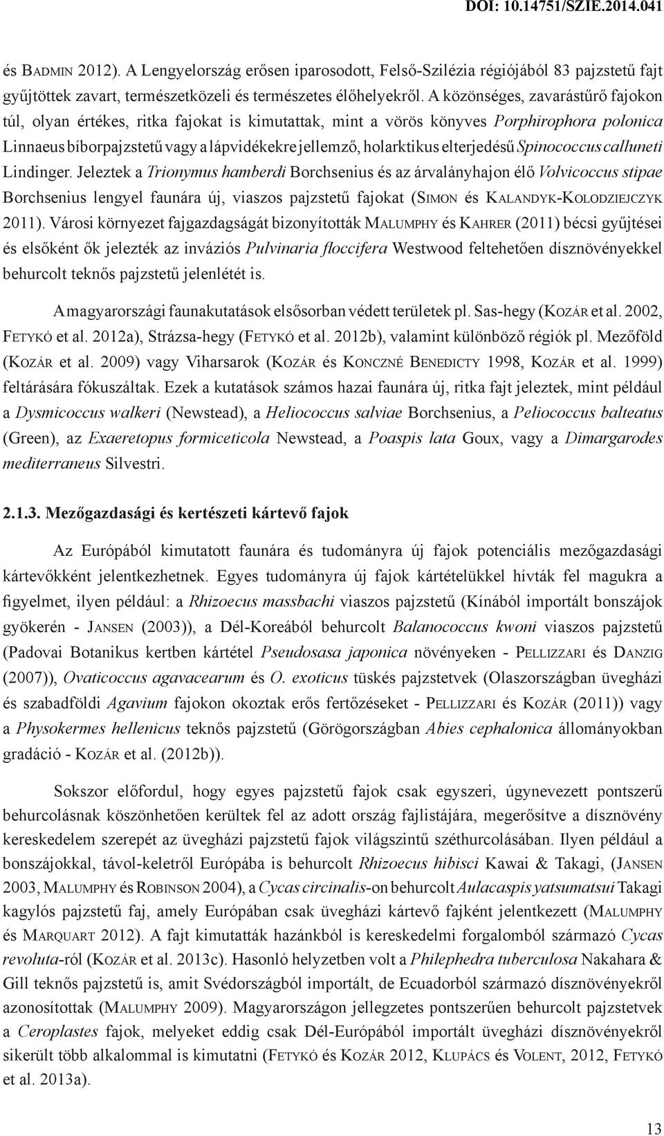 elterjedésű Spinococcus calluneti Lindinger.