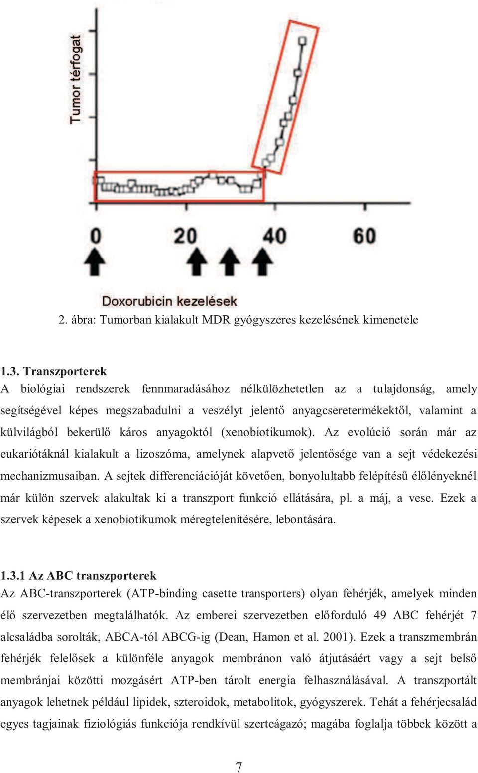 bekerülő káros anyagoktól (xenobiotikumok). Az evolúció során már az eukariótáknál kialakult a lizoszóma, amelynek alapvető jelentősége van a sejt védekezési mechanizmusaiban.