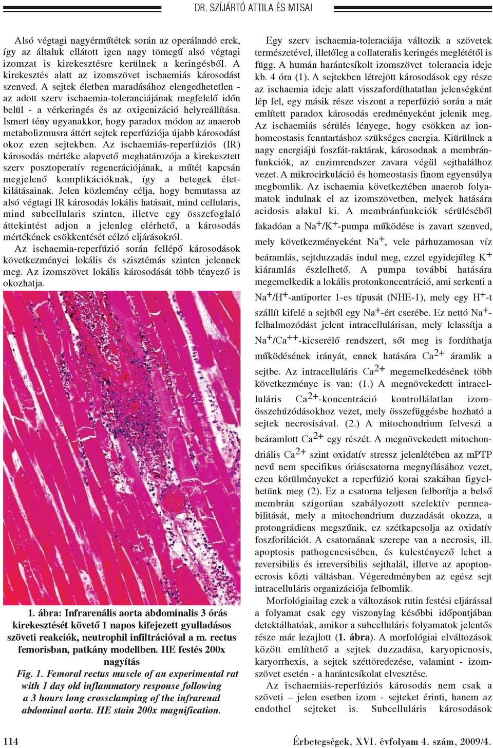 A sejtek életben maradásához elengedhetetlen - az adott szerv ischaemia-toleranciájának megfelelõ idõn belül - a vérkeringés és az oxigenizáció helyreállítása.
