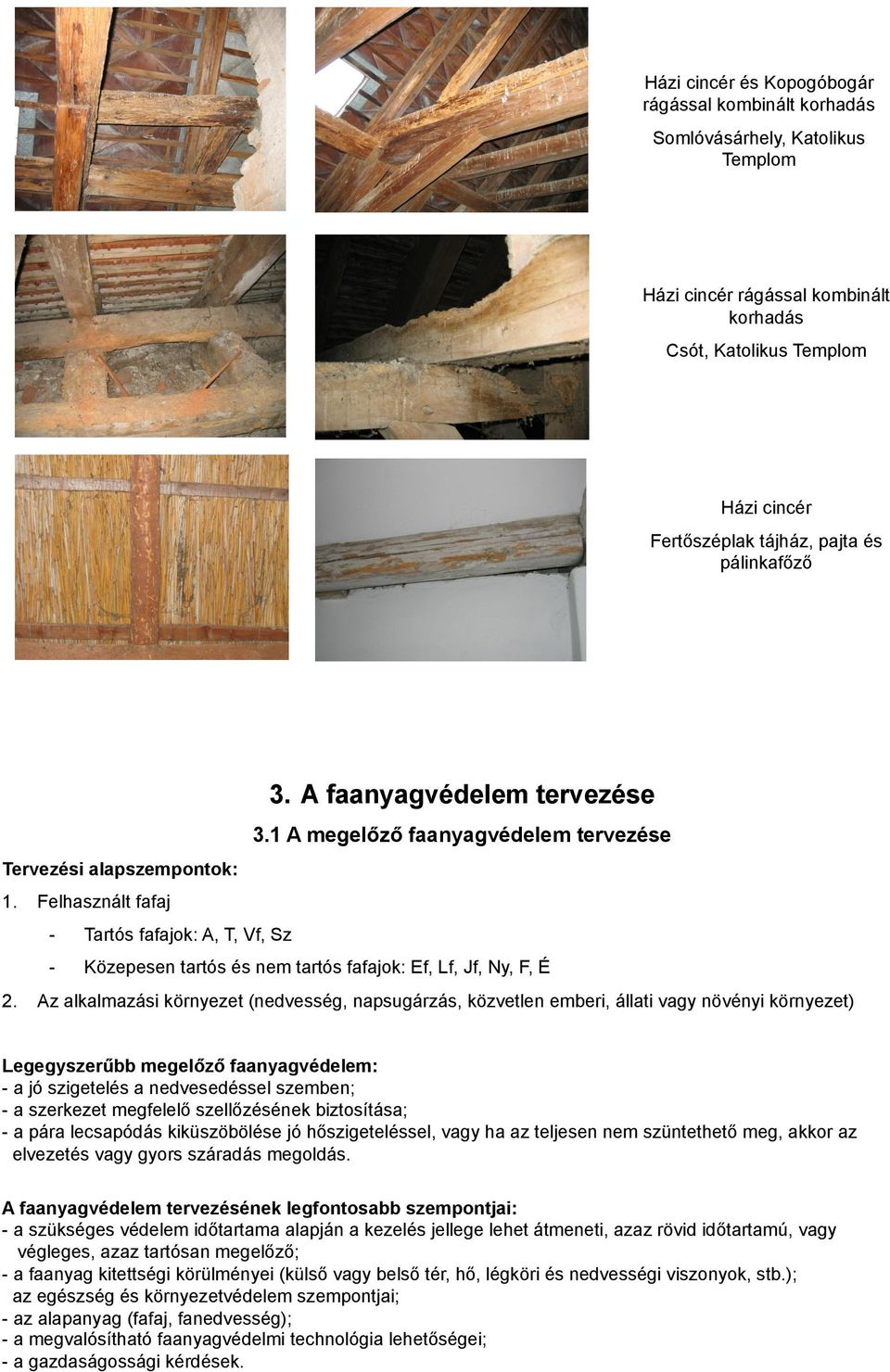 Faszerkezetek és szerkezeti faanyagok faanyagvédelmi problémái - PDF Free  Download