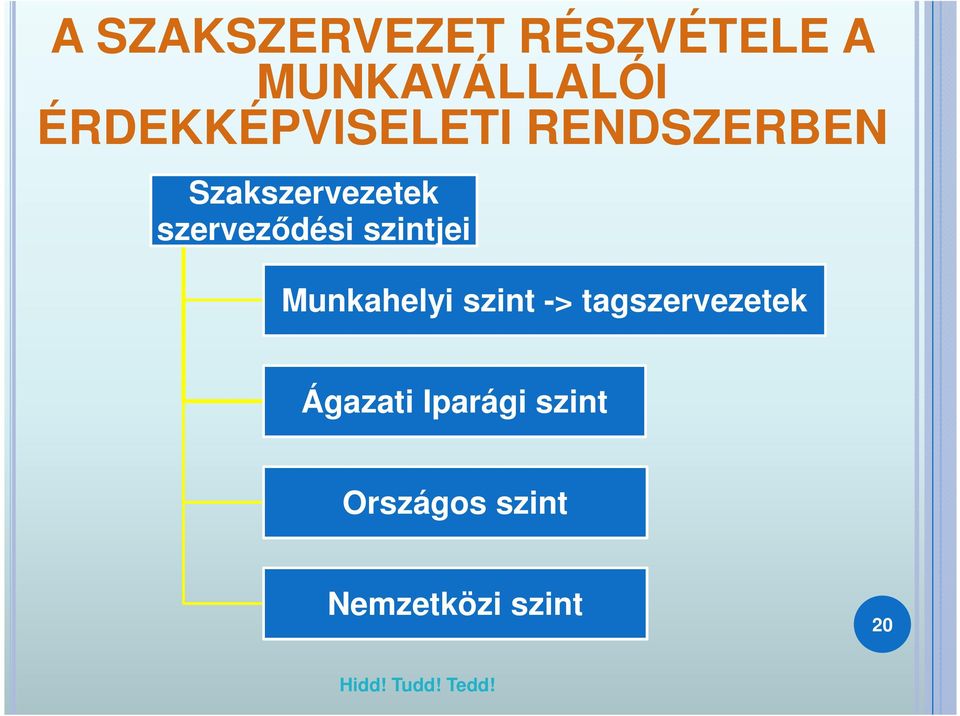 szerveződési szintjei Munkahelyi szint ->