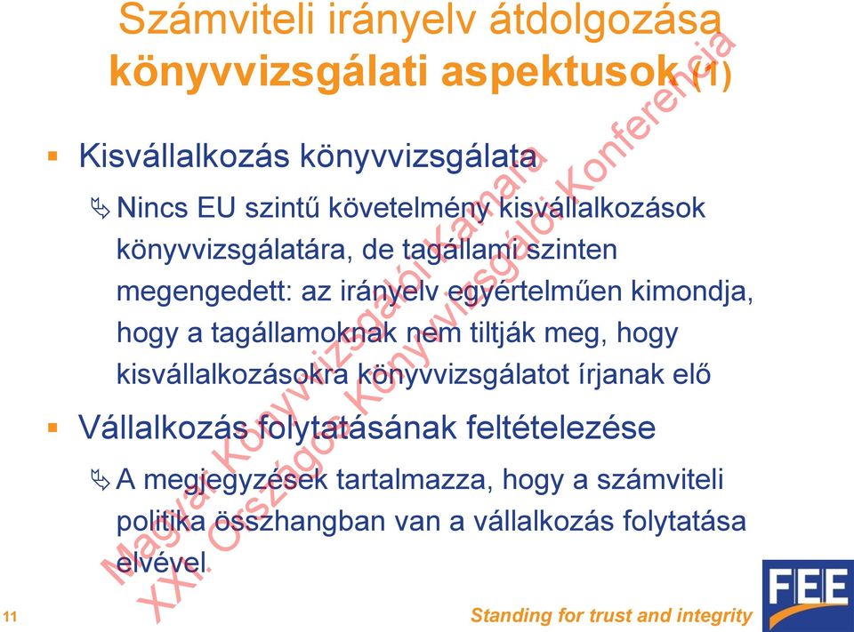 tagállamoknak nem tiltják meg, hogy kisvállalkozásokra könyvvizsgálatot írjanak elő Vállalkozás folytatásának feltételezése