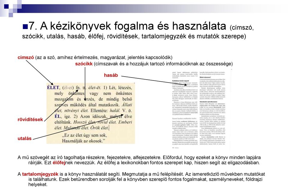 Előfordul, hogy ezeket a könyv minden lapjára ráírják. Ezt élőfejnek nevezzük. Az élőfej a lexikonokban fontos szerepet kap, hiszen segít az eligazodásban.