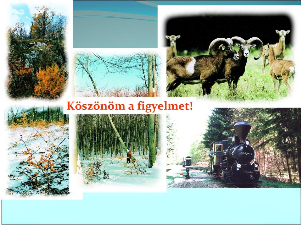 figyelmet!