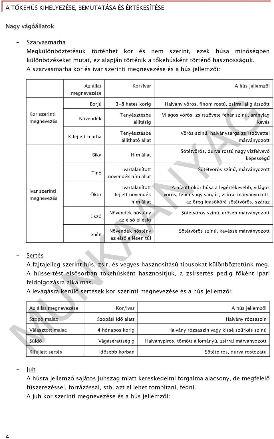 Halvány vörös, finom rostú, zsírral alig átszőtt Növendék Kifejlett marha Bika Tinó Ökör Üsző Tehén Tenyésztésbe állításig Tenyésztésbe állítható állat Hím állat Ivartalanított növendék hím állat