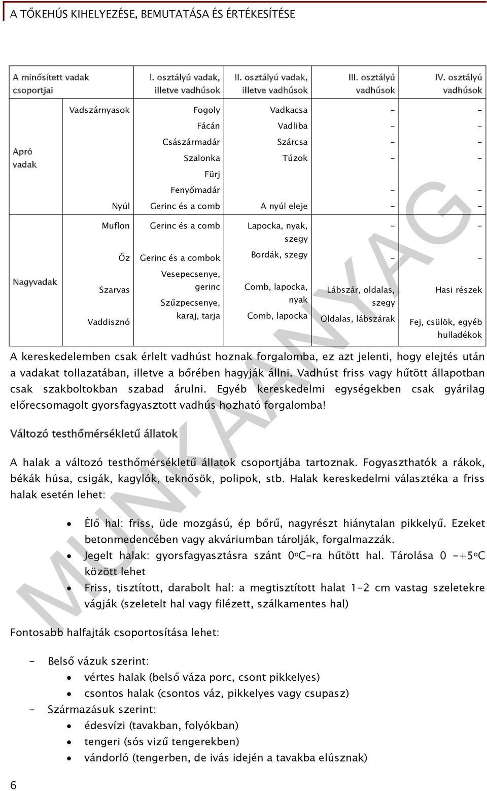 Népszabadság, Súlyos téma – Semmelweis Médiasarok, Elveszíti a has kövér férfi