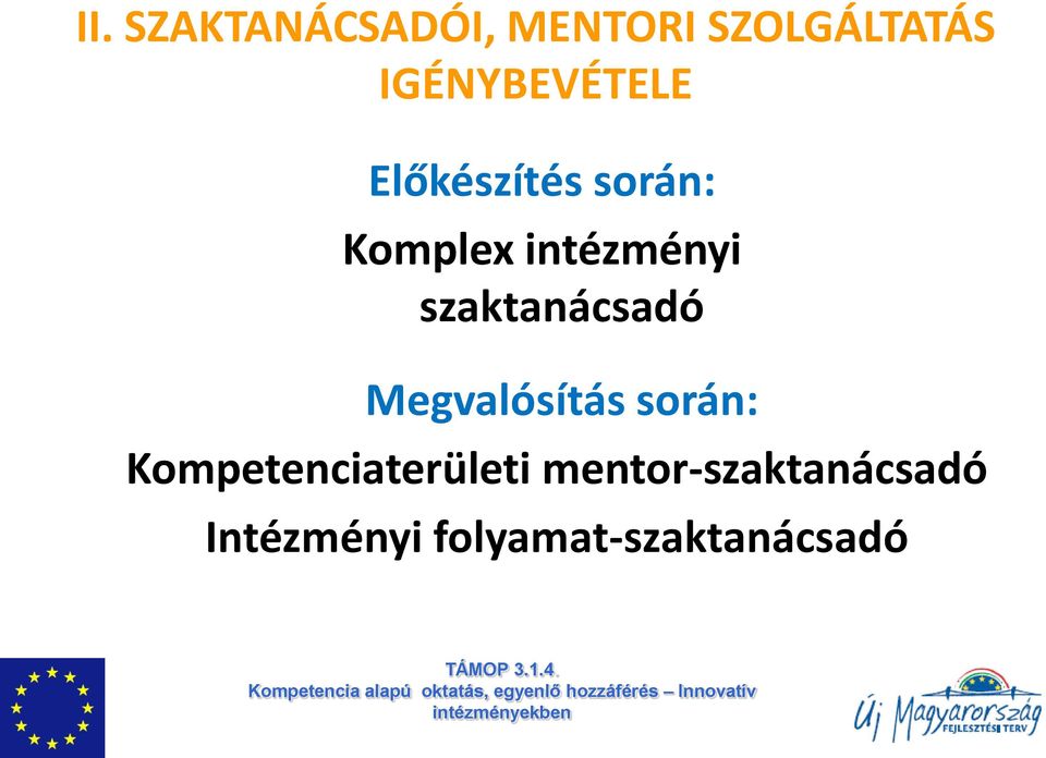 intézményi szaktanácsadó Megvalósítás során: