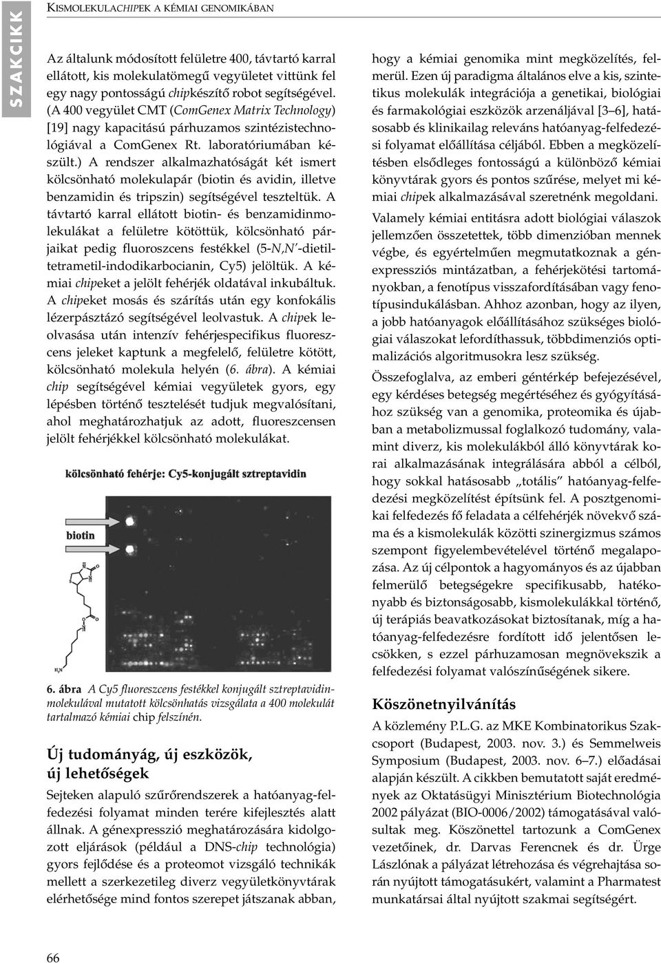 ) A rendszer alkalmazhatóságát két ismert kölcsönható molekulapár (biotin és avidin, illetve benzamidin és tripszin) segítségével teszteltük.