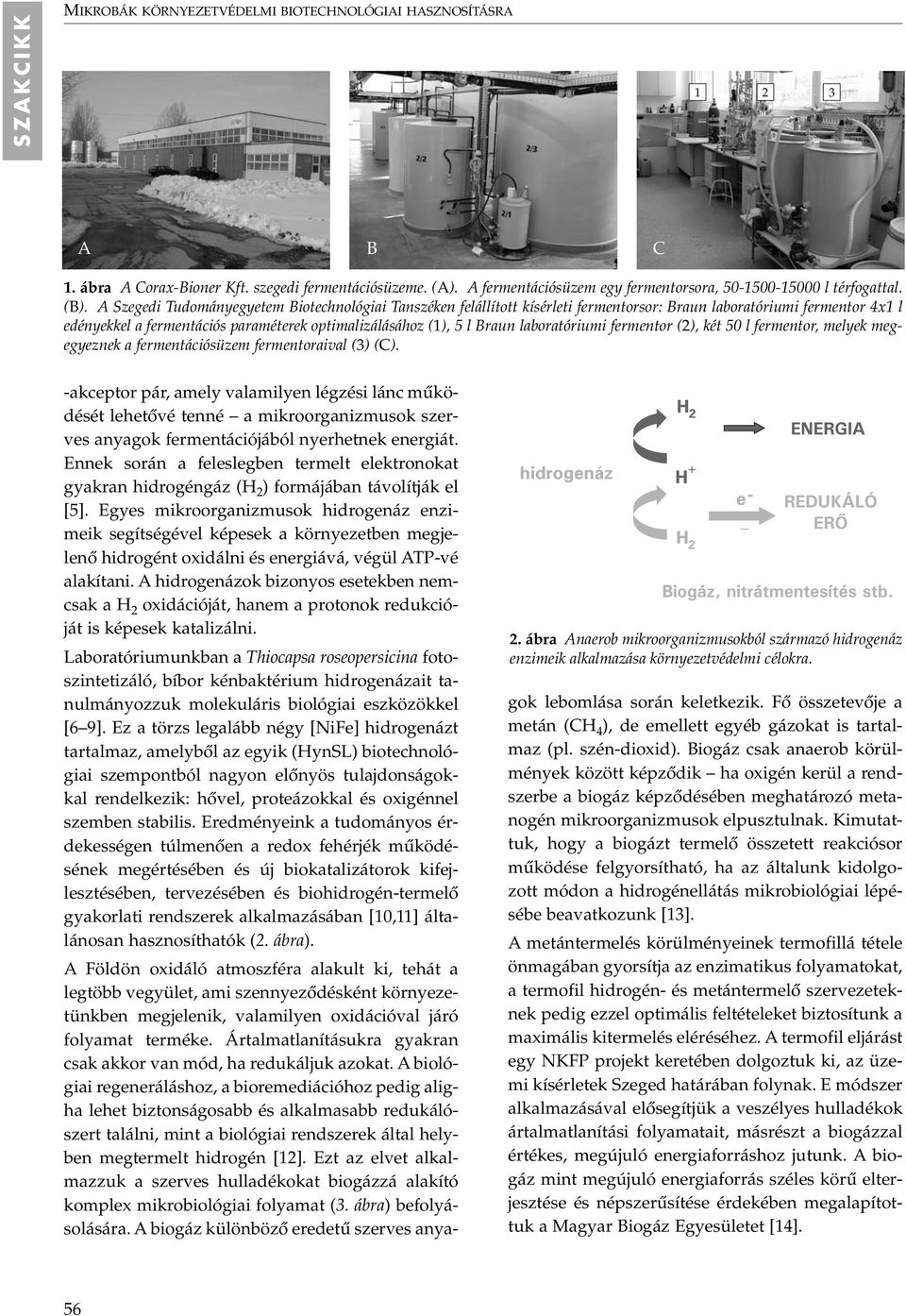 A Szegedi Tudományegyetem Biotechnológiai Tanszéken felállított kísérleti fermentorsor: Braun laboratóriumi fermentor 4x1 l edényekkel a fermentációs paraméterek optimalizálásához (1), 5 l Braun