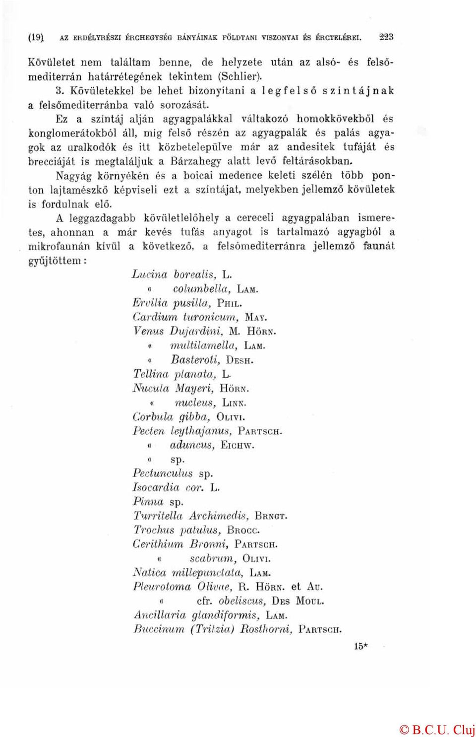 Ez a színtáj alján agyagpalákkal váltakozó homokkövekből és konglomerátokból áll, míg felső részén az agyagpalák és palás agyagok az uralkodók és itt közbetelepülve már az andesitek tufáját és