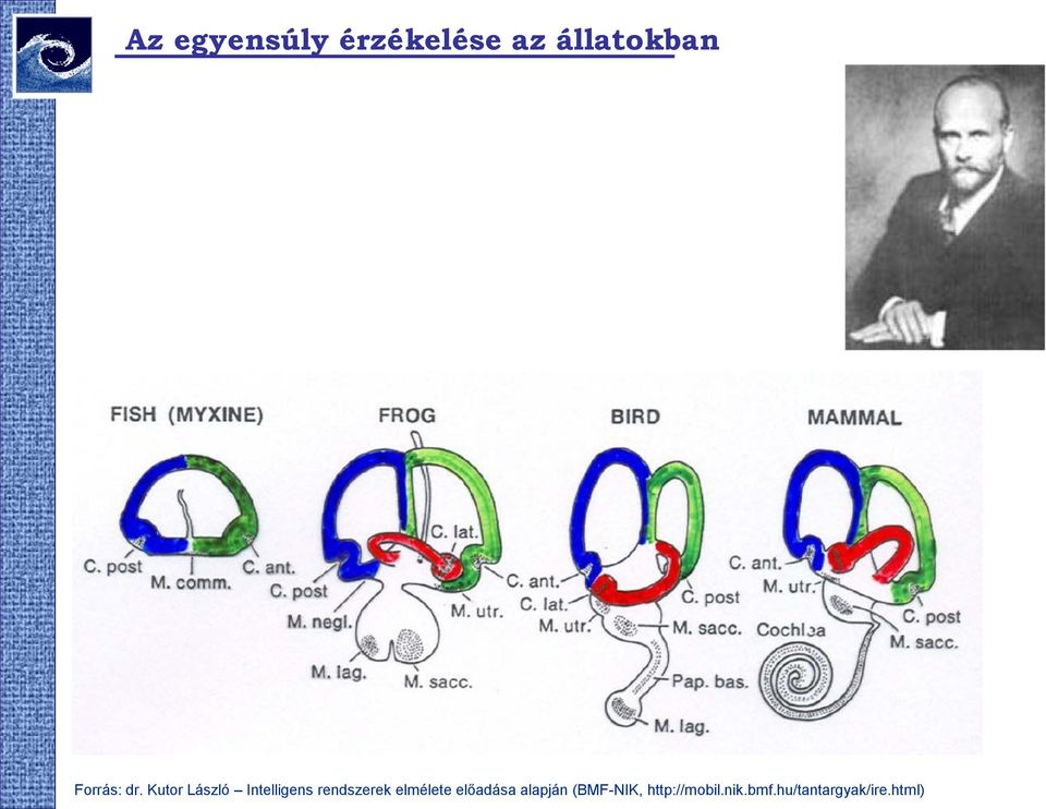 Kutor László Intelligens rendszerek