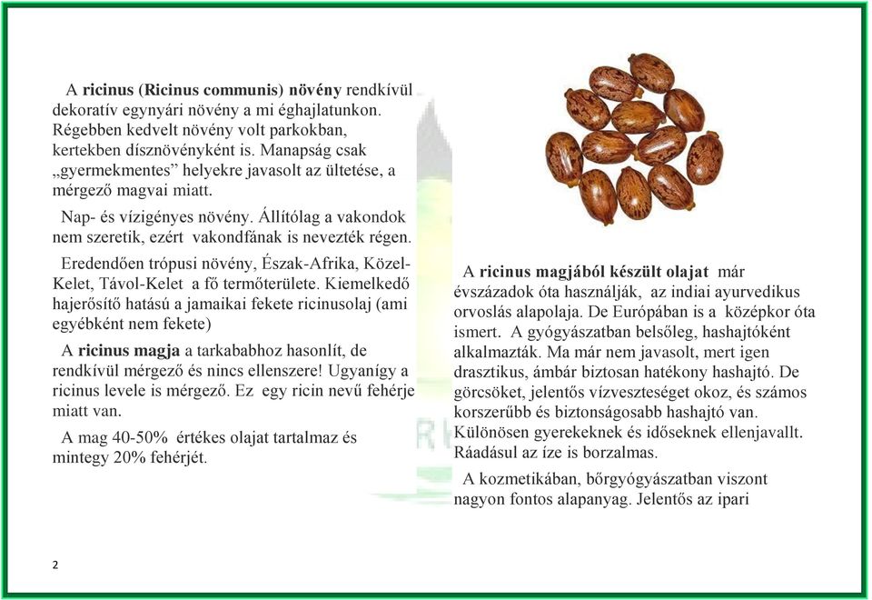 Eredendően trópusi növény, Észak-Afrika, Közel- Kelet, Távol-Kelet a fő termőterülete.