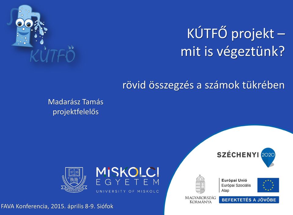 Madarász Tamás projektfelelős FAVA