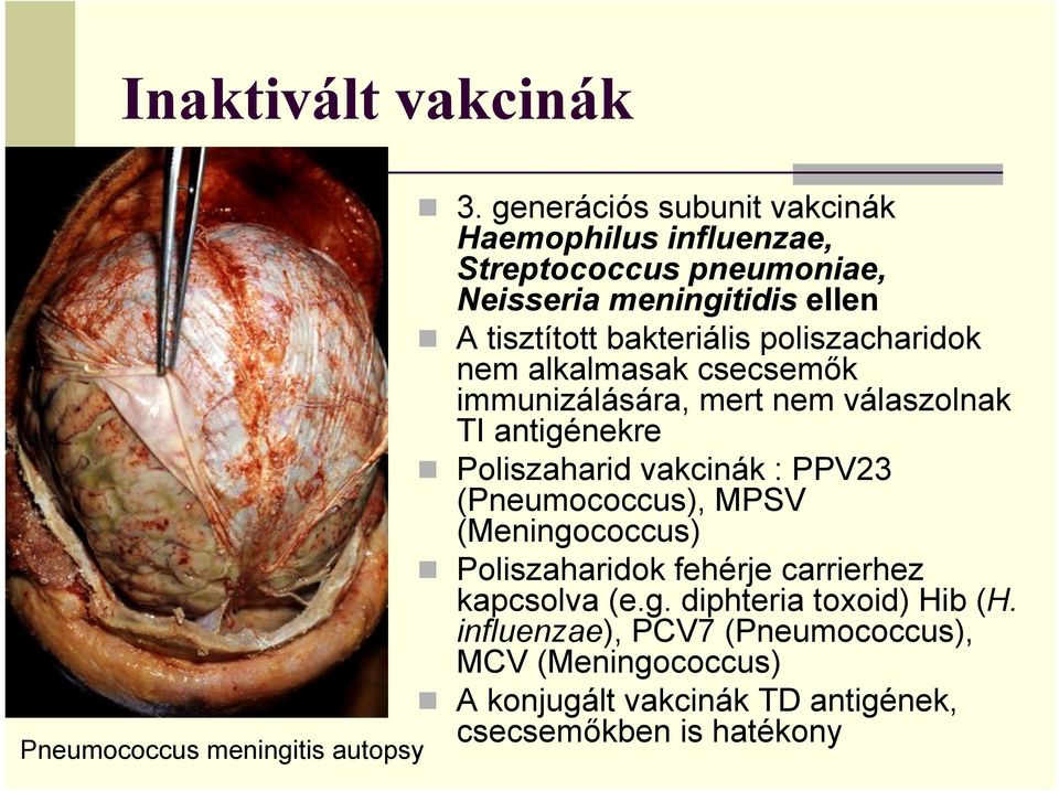 poliszacharidok nem alkalmasak csecsemők immunizálására, mert nem válaszolnak TI antigénekre Poliszaharid vakcinák : PPV23