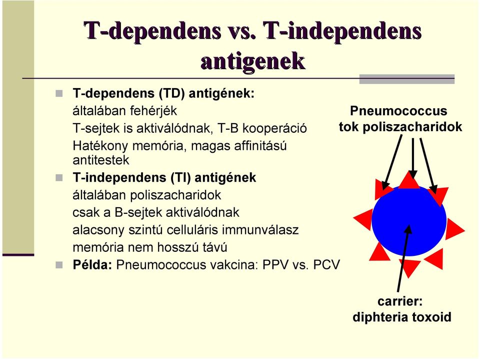 kooperáció Hatékony memória, magas affinitású antitestek T-independens (TI) antigének általában