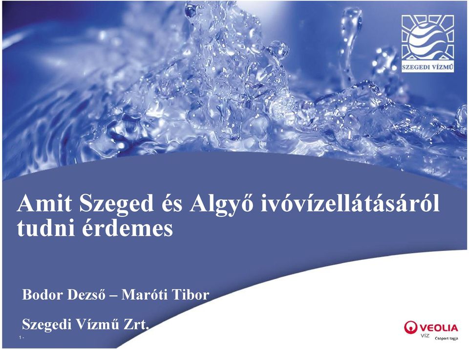 érdemes Bodor Dezső