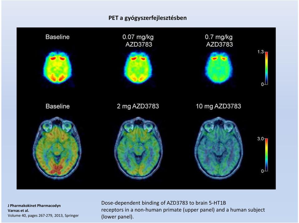 Volume 40, pages 267-279, 2013, Springer Dose-dependent