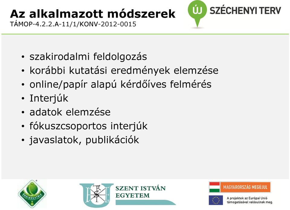 alapú kérdőíves felmérés Interjúk adatok elemzése