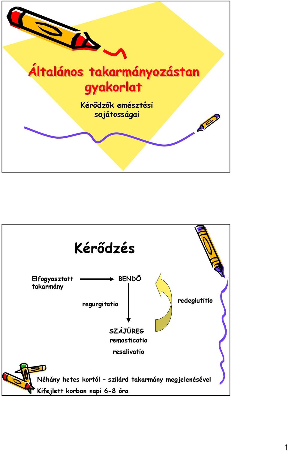 regurgitatio redeglutitio SZÁJÜREG remasticatio resalivatio