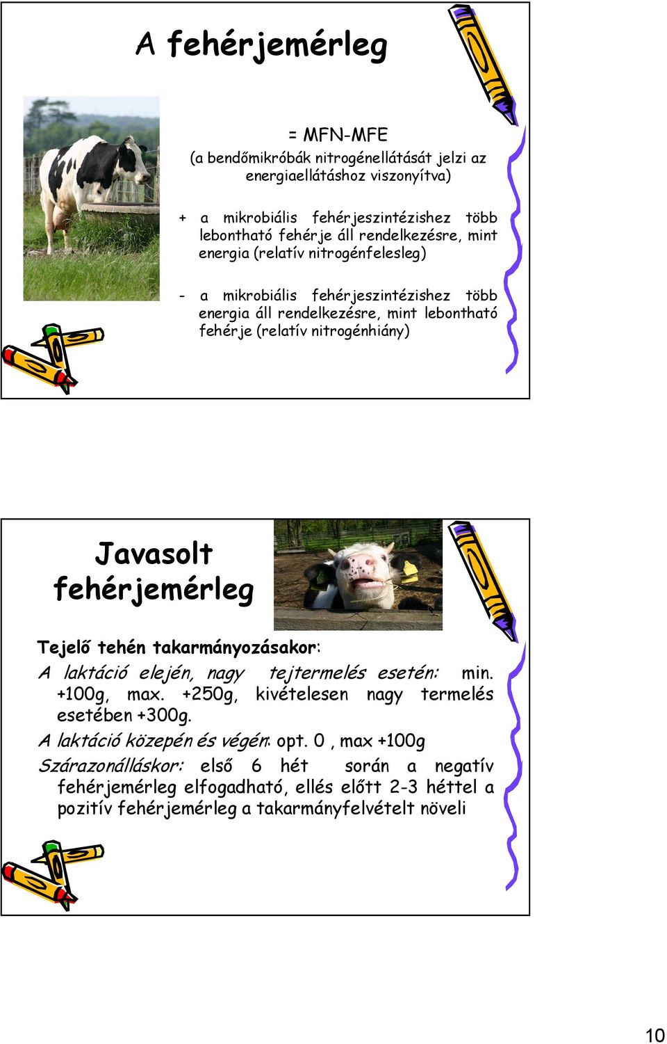 Javasolt fehérjemérleg Tejelő tehén takarmányozásakor: A laktáció elején, nagy tejtermelés esetén: min. +100g, max. +250g, kivételesen nagy termelés esetében +300g.