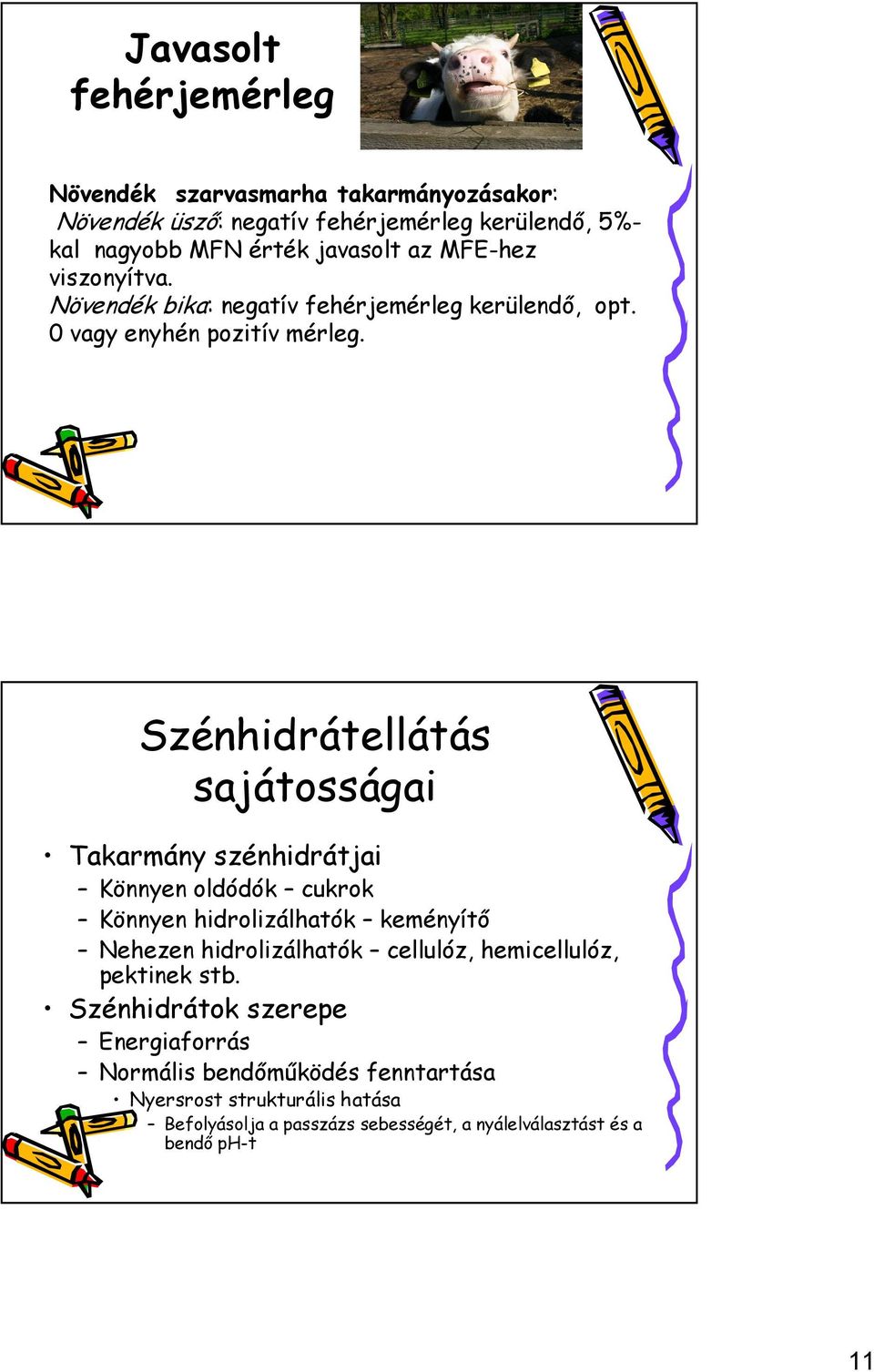 Szénhidrátellátás sajátosságai Takarmány szénhidrátjai Könnyen oldódók cukrok Könnyen hidrolizálhatók keményítő Nehezen hidrolizálhatók cellulóz,