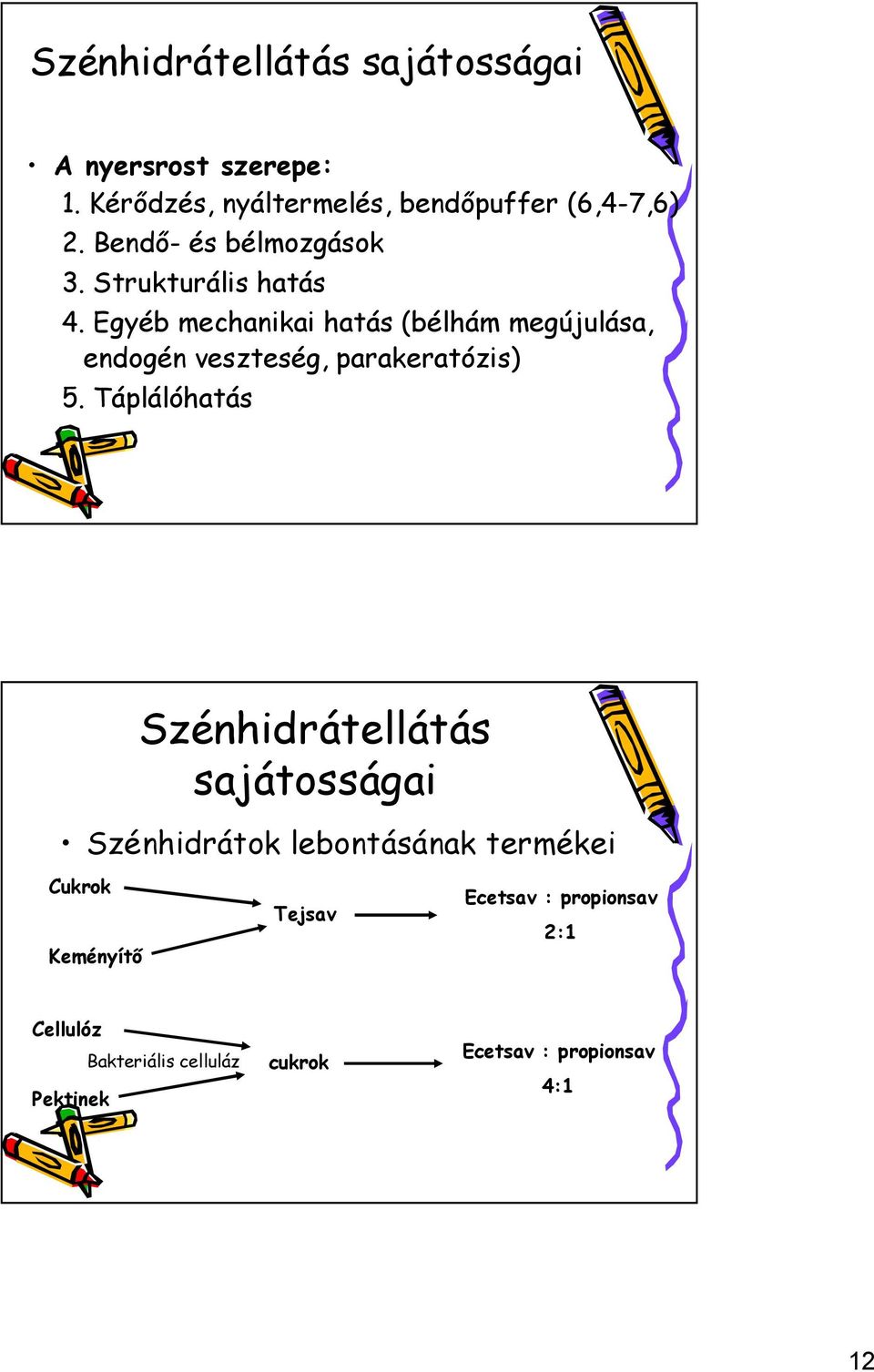 Egyéb mechanikai hatás (bélhám megújulása, endogén veszteség, parakeratózis) 5.