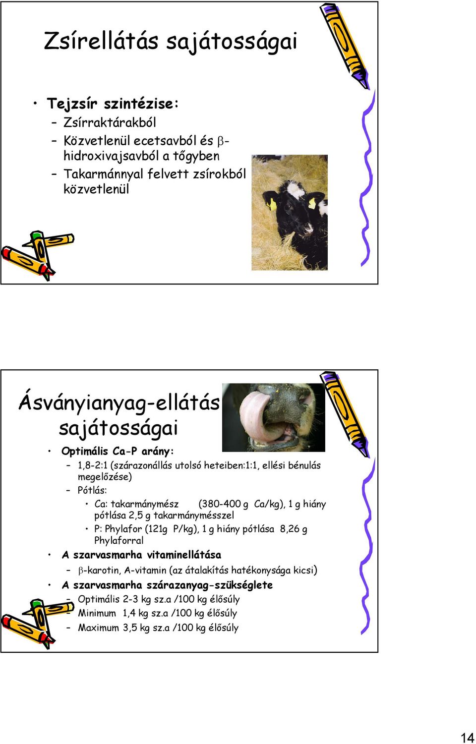 Ca/kg), 1 g hiány pótlása 2,5 g takarmánymésszel P: Phylafor (121g P/kg), 1 g hiány pótlása 8,26 g Phylaforral A szarvasmarha vitaminellátása β-karotin, A-vitamin (az