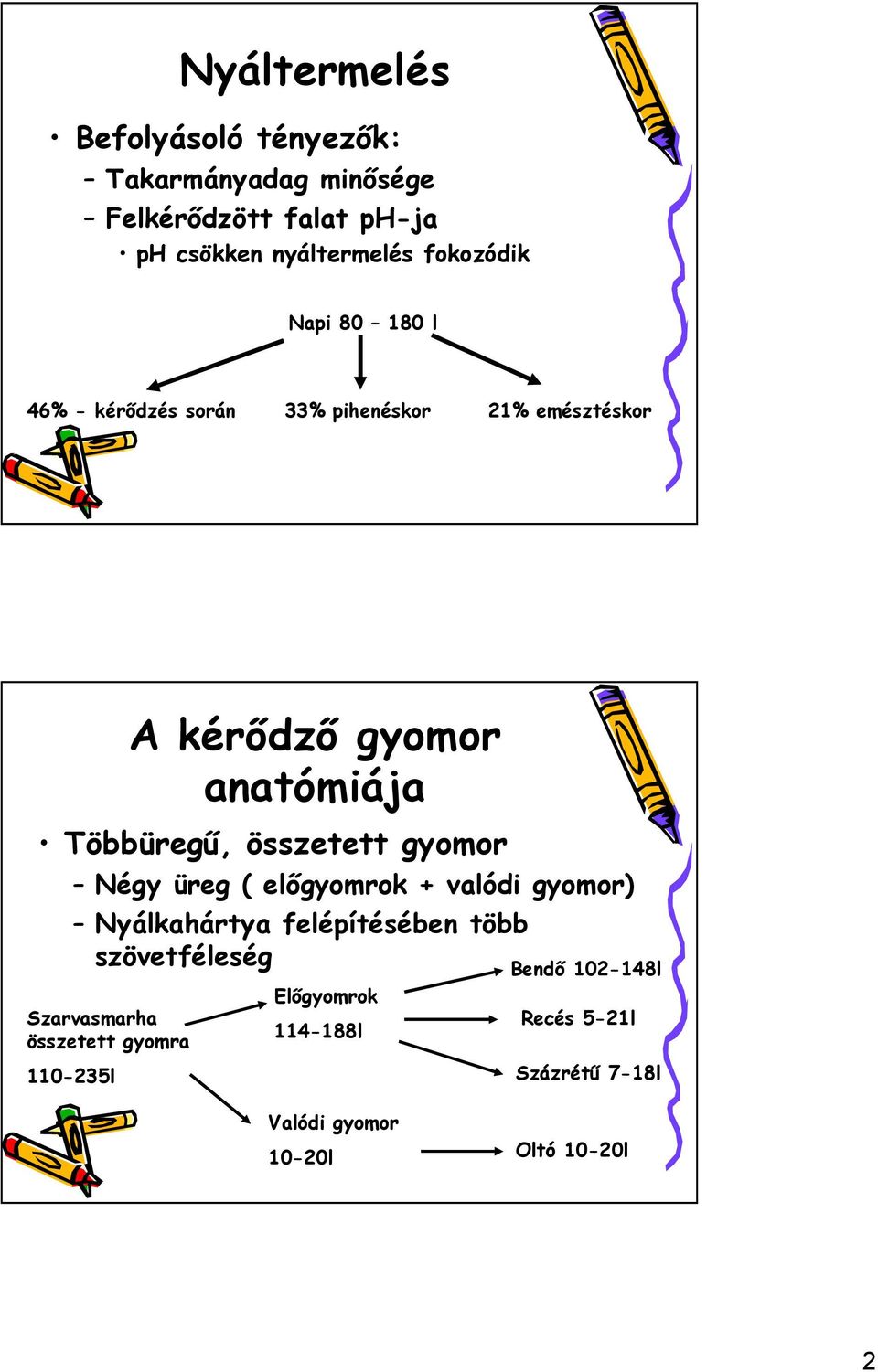 összetett gyomor Négy üreg ( előgyomrok + valódi gyomor) Nyálkahártya felépítésében több szövetféleség