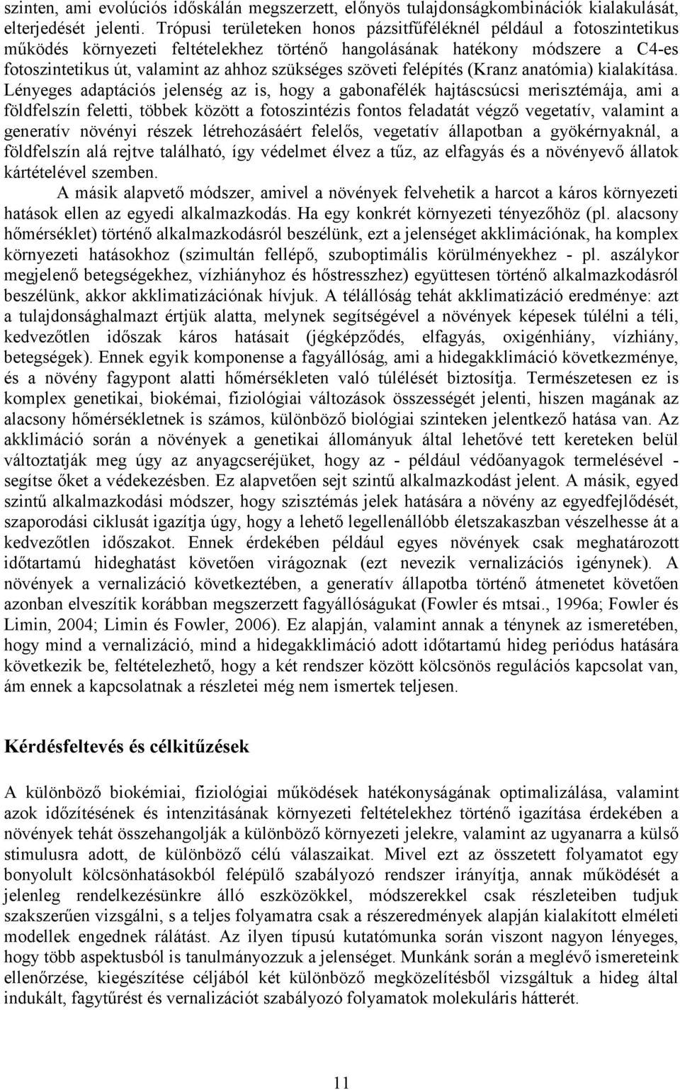 szöveti felépítés (Kranz anatómia) kialakítása.
