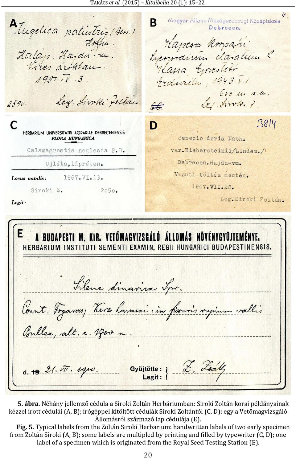 cédulák Siroki Zoltántól (C, D); egy a Vetőmagvizsgáló Állomásról származó lap cédulája (E). Fig. 5.