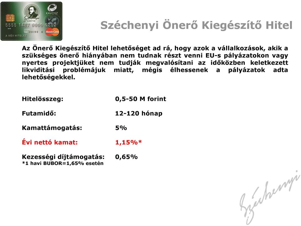 megvalósítani az időközben keletkezett likviditási problémájuk miatt, mégis élhessenek a pályázatok adta