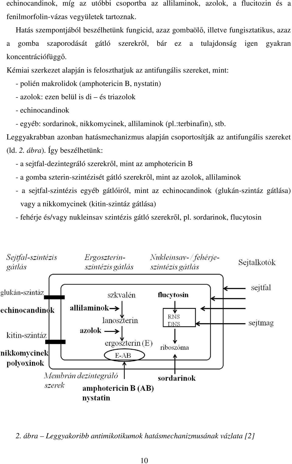 Kémiai szerkezet alapján is feloszthatjuk az antifungális szereket, mint: - polién makrolidok (amphotericin B, nystatin) - azolok: ezen belül is di és triazolok - echinocandinok - egyéb: sordarinok,