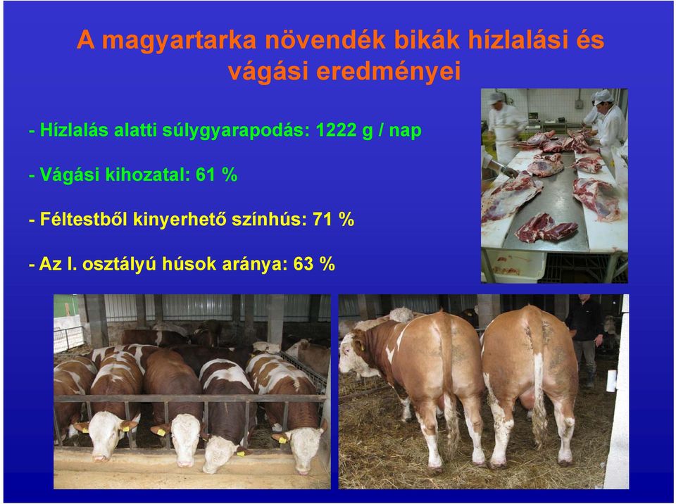 / nap - Vágási kihozatal: 61 % - Féltestből