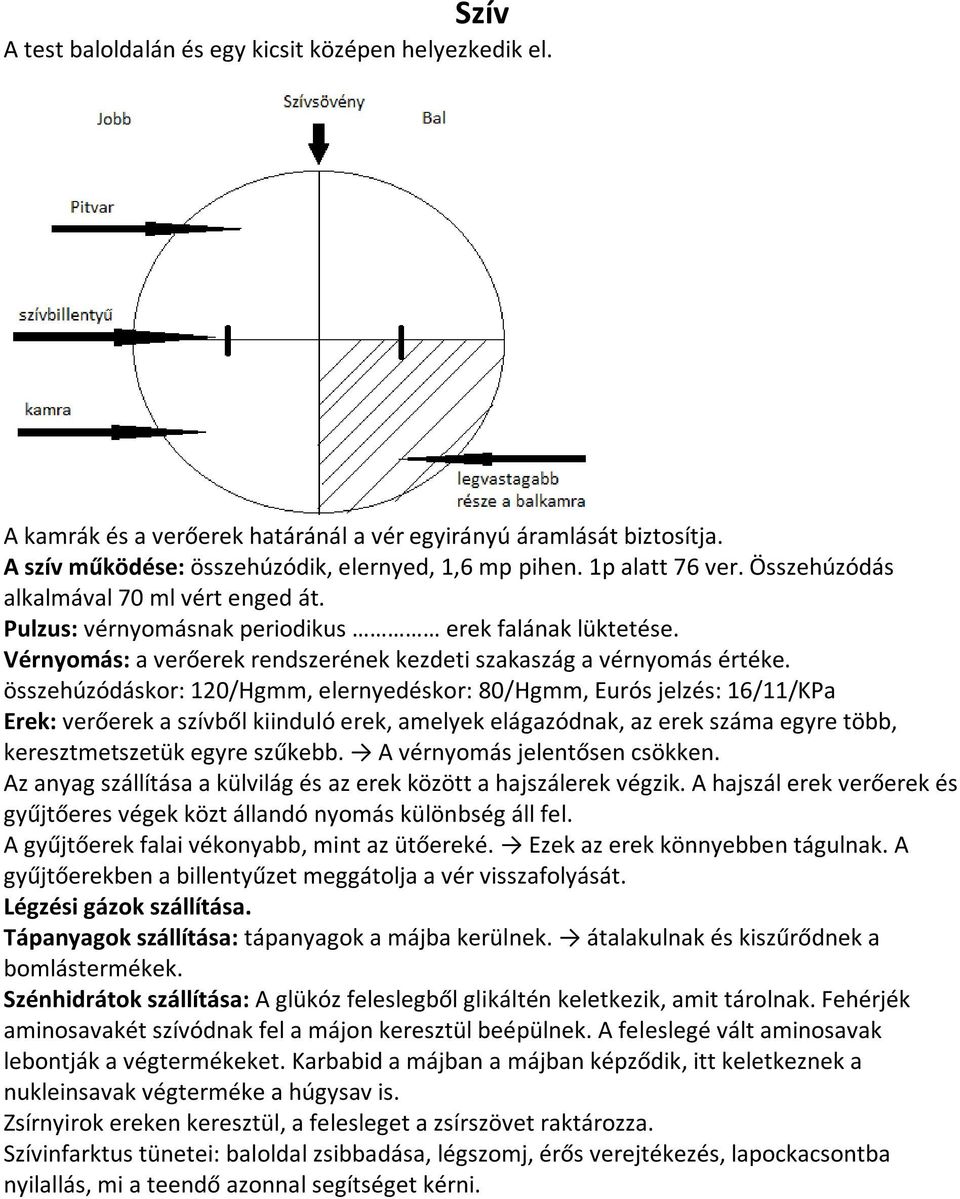 összehúzódáskor: 120/Hgmm, elernyedéskor: 80/Hgmm, Eurós jelzés: 16/11/KPa Erek: verőerek a szívből kiinduló erek, amelyek elágazódnak, az erek száma egyre több, keresztmetszetük egyre szűkebb.