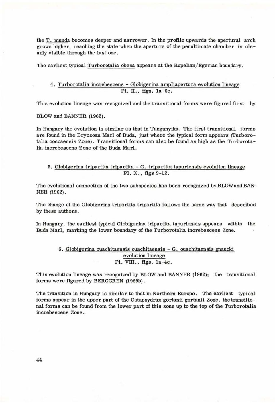 The earliest typical Turborotalia obesa appears at the Rupelian/Egerian boundary. 4. Turborotalia increbescens - Globigerina ampliapertura evolution lineage Pl. H., figs. la-6c.