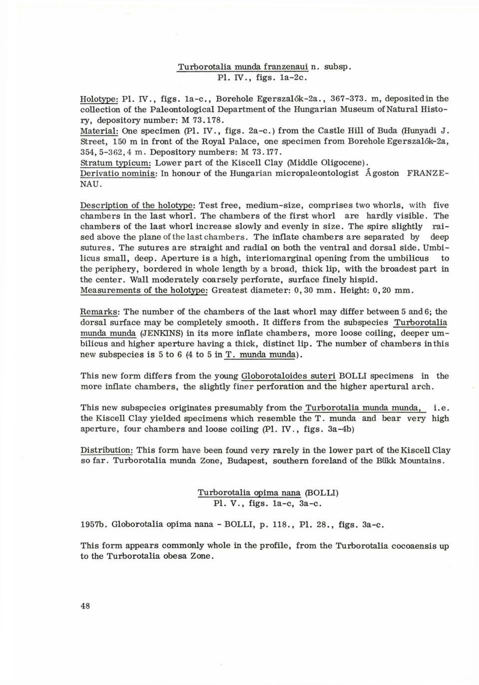 ) from the Castle Hill of Buda (Hunyadi J. Street, 150 m in front of the Royal Palace, one specimen from Borehole Egerszalók-2a, 354, 5-362,4 m. Depository numbers: M 73.177.