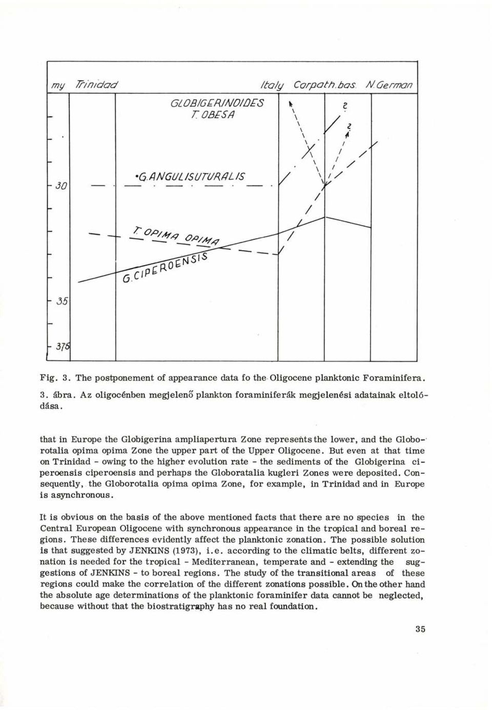 that in Europe the Globigerina ampliapertura Zone represents the lower, and the Globorotalia opima opima Zone the upper part of the Upper Oligocène.