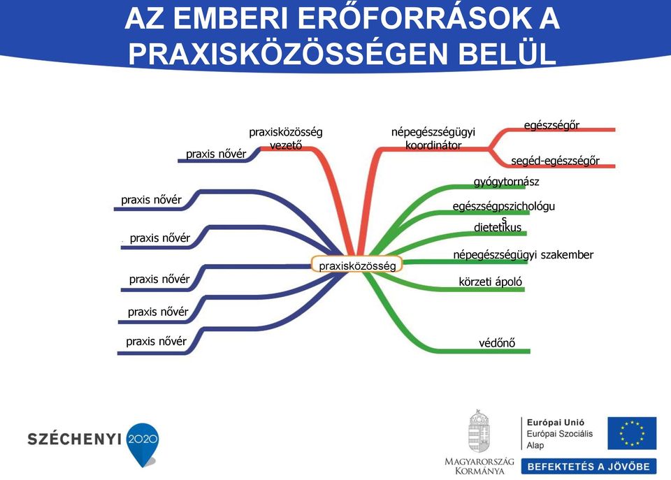 népegészségügyi koordinátor gyógytornász egészségőr egészségpszichológu s